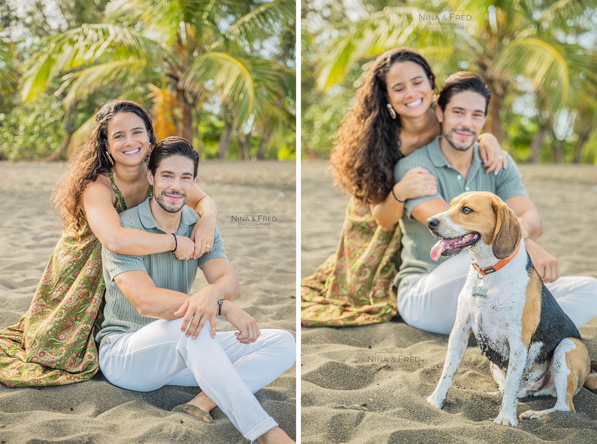 shooting avec chien île de la Réunion V&F&S